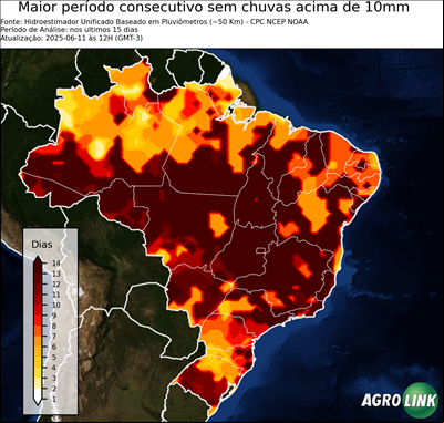 15 dias